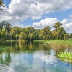 The Scenic Rainbow River