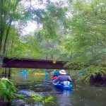 Trail Crossing in 2017