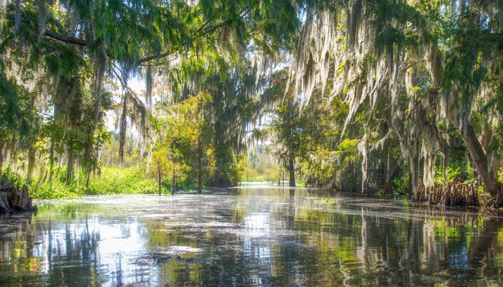 Canal connecting Cross Creek to Orange Lake