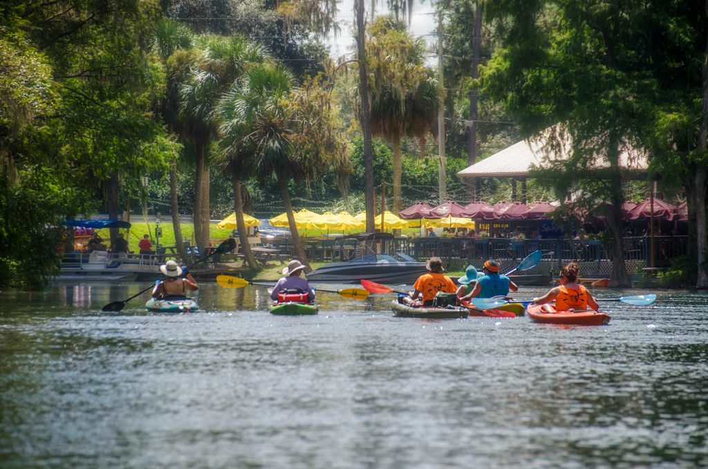 Paddling by Swampy's