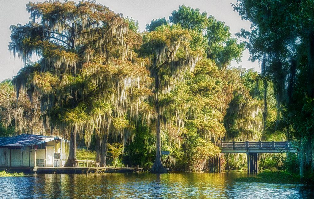 The Bridge at Cross Creek