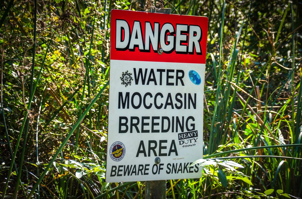 Moccasin Breeding Area