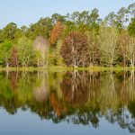 Colorful trees reflecting on Lake Fanny