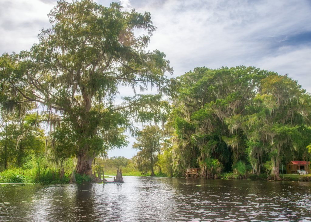 Cross Creek Cypress