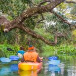 Drifting Beneath an Oak