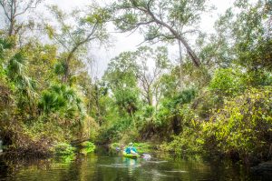 Into the Wildof Rocks Springs Run