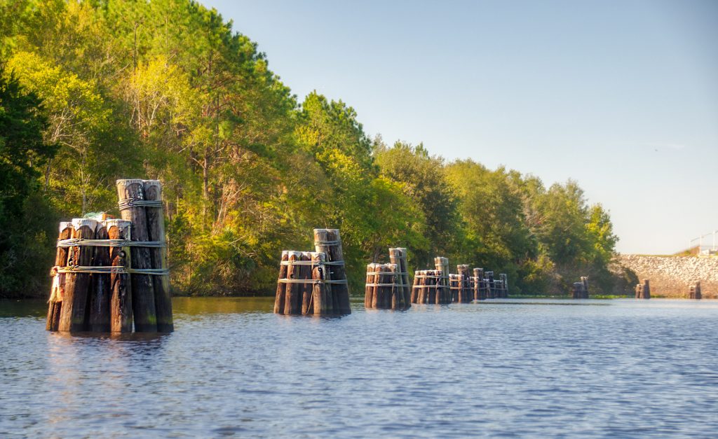 Pilings at Buckman Lock