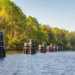 Pilings at Buckman Lock