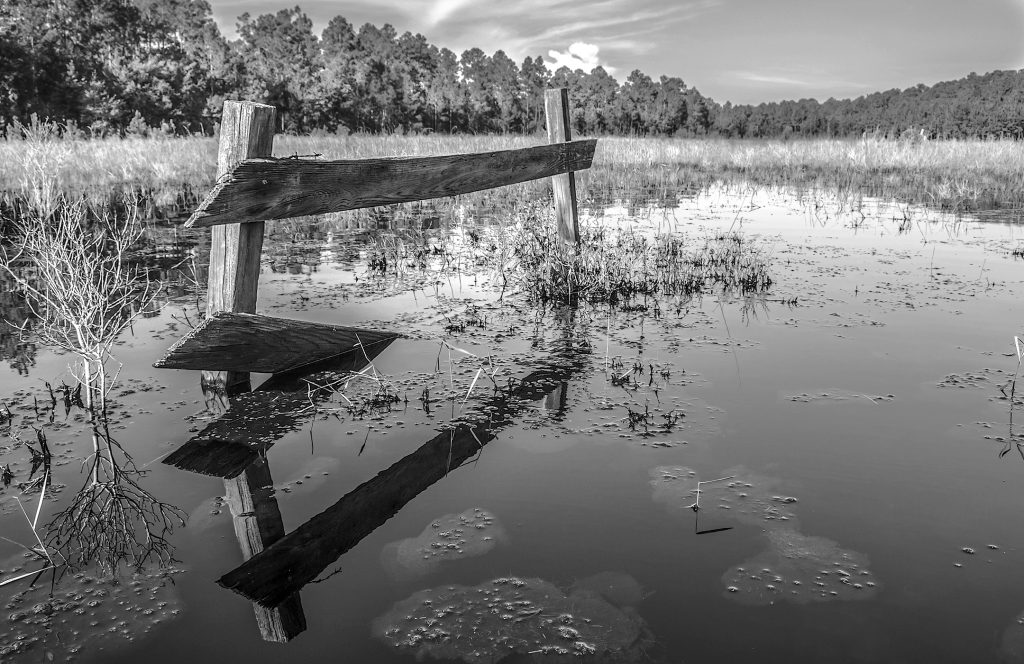 Old Fence on the Smokehouse Prairie