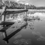 Old Fence on the Smokehouse Prairie