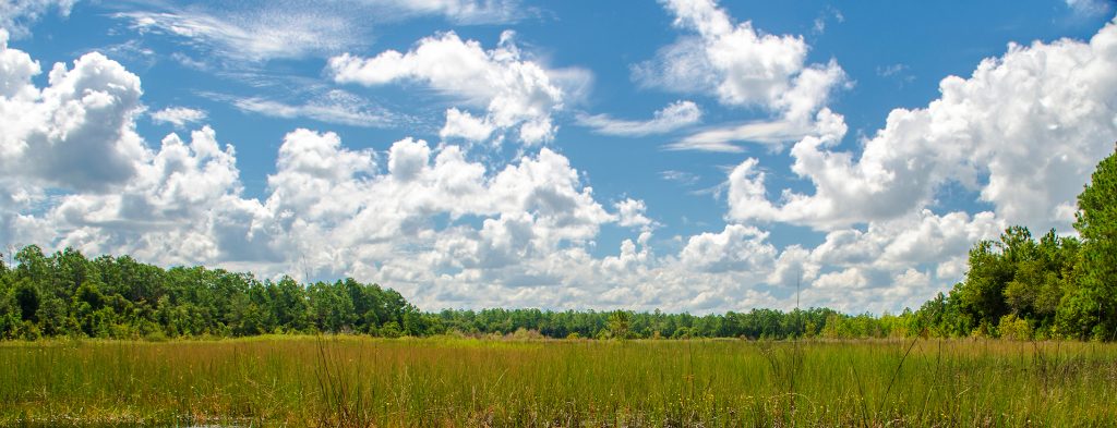 Smokehouse Prairie Sky