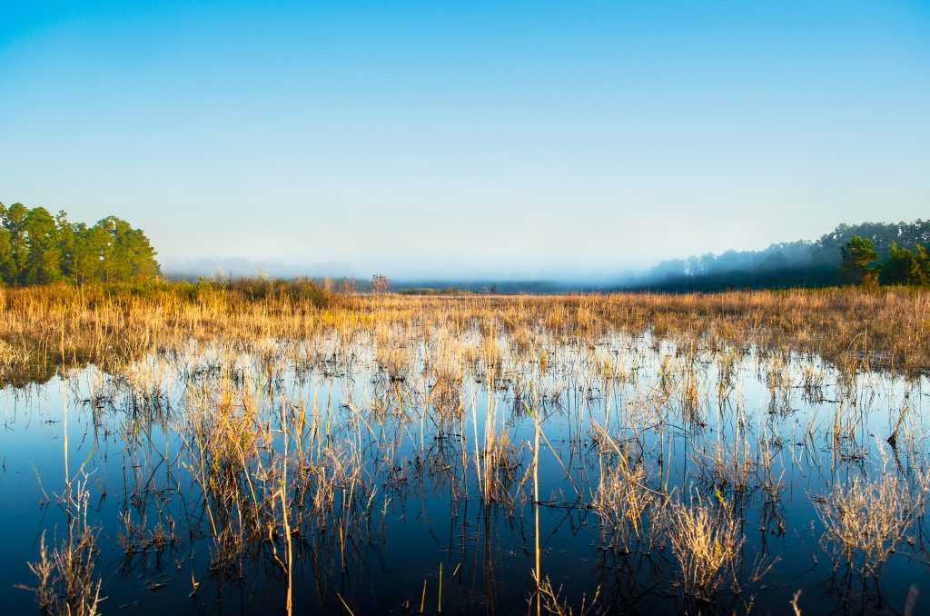 The Smokehouse Prairie