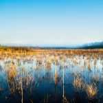 The Smokehouse Prairie