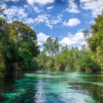 The Weeki Wachee River