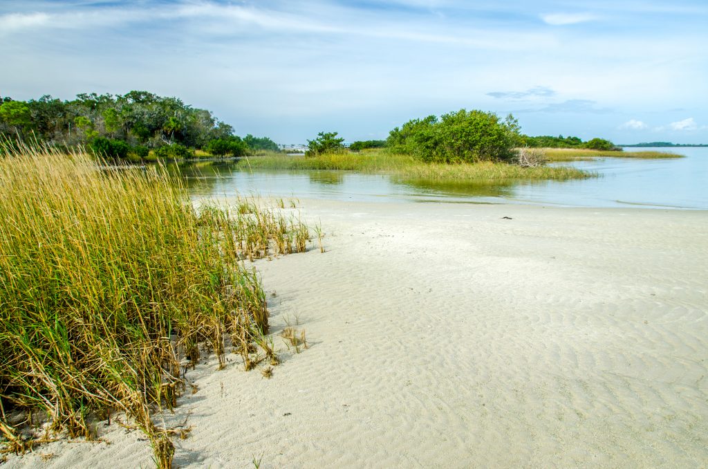 Cedar Keys Landscape