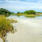 Cedar Keys Landscape