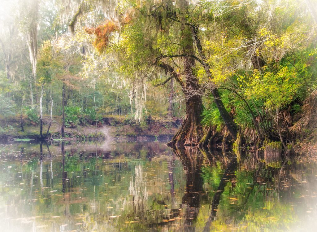 Dreamy Santa Fe River