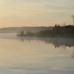 Grey misty morning on Salt Creek Run
