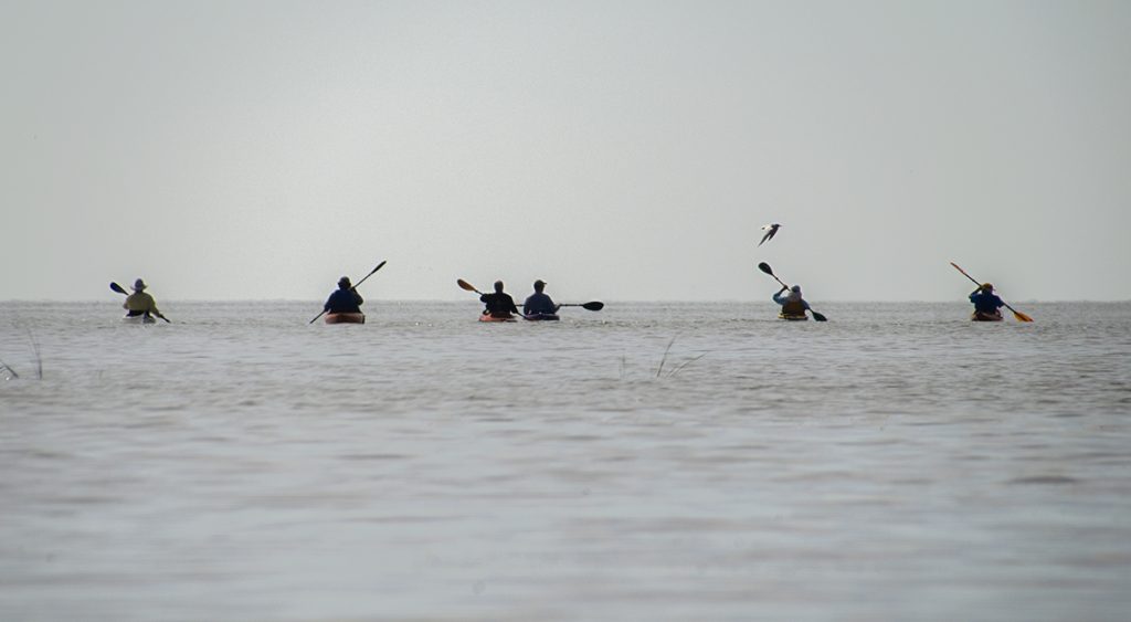 Paddle Cedar Key