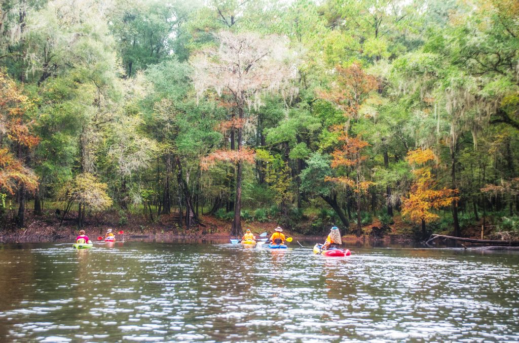 River Rise - Santa Fe River