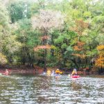 River Rise - Santa Fe River