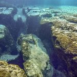 Salt Springs Center Vent