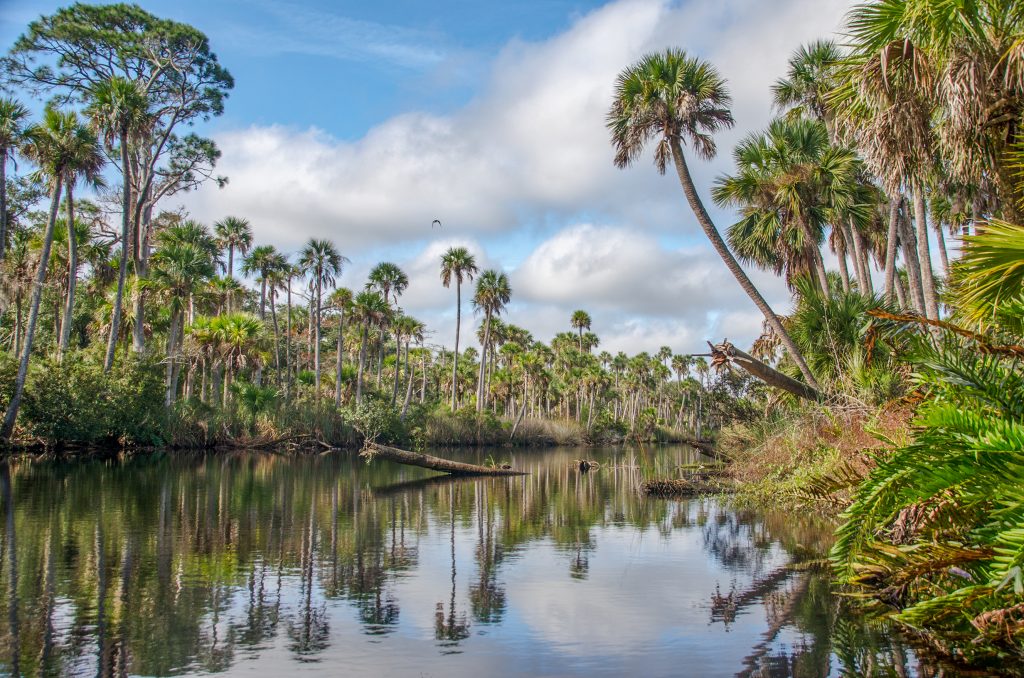 Scenic Bulow Creek