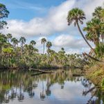 Scenic Bulow Creek