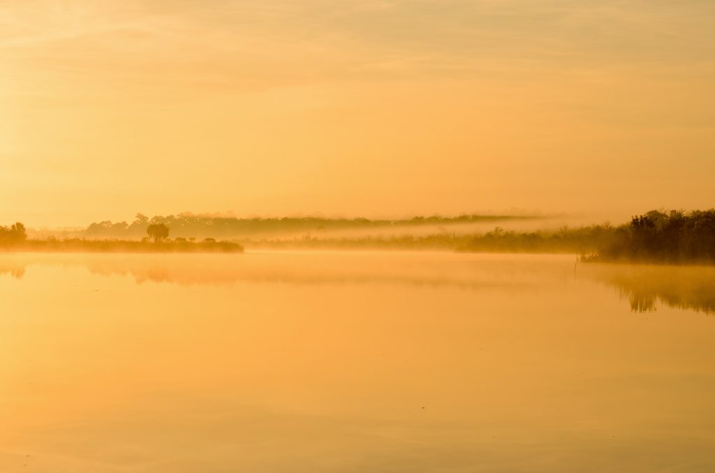 Sunrise Fog Salt Creek