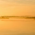 Sunrise Fog Salt Creek