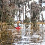 Inside the Cypress Shoreline - Santa Fe Lake