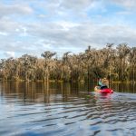 Paddling the Southern Shoreline - Santa Fe Lake