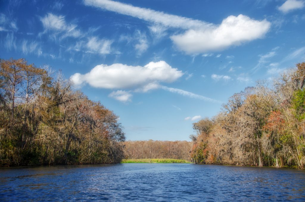 Entering Princess Lake - Withlacoochee