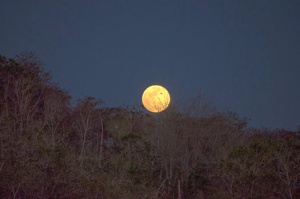 Full Moon over Black Lake
