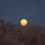 Full Moon over Black Lake