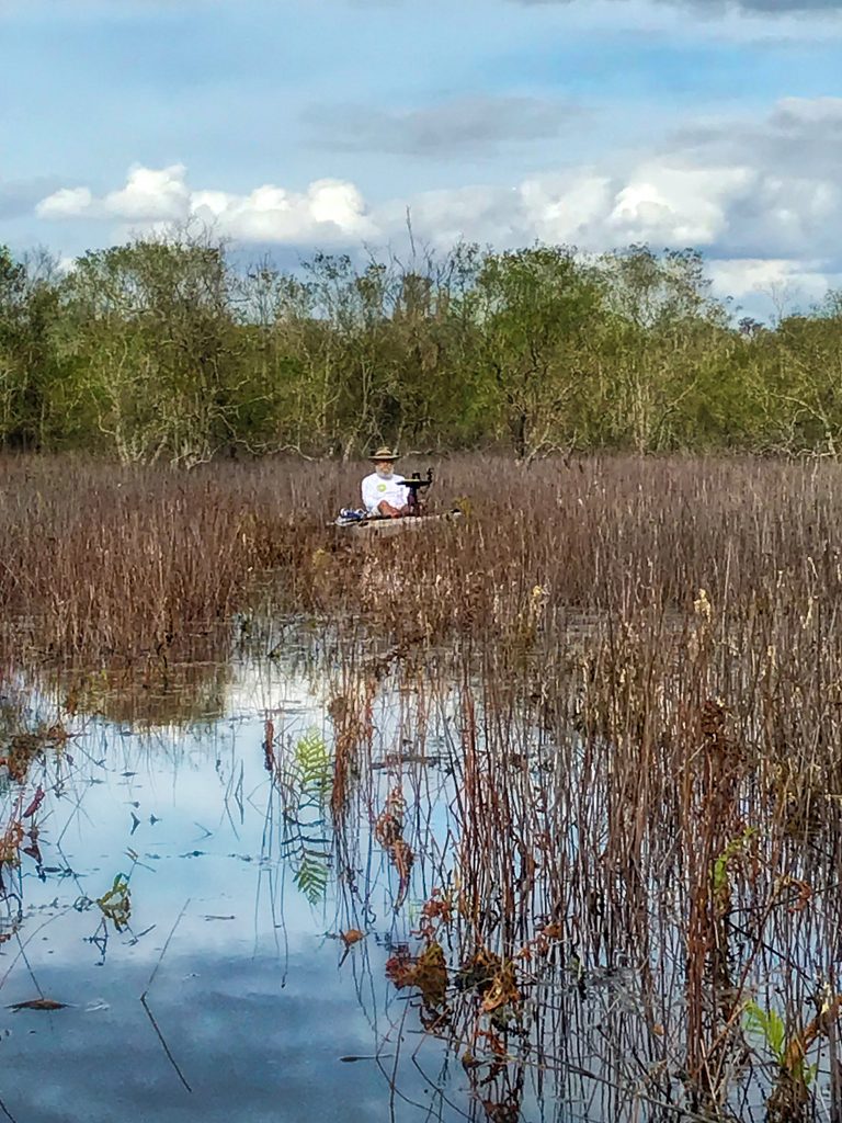 James in the rush - Black Lake Wetland