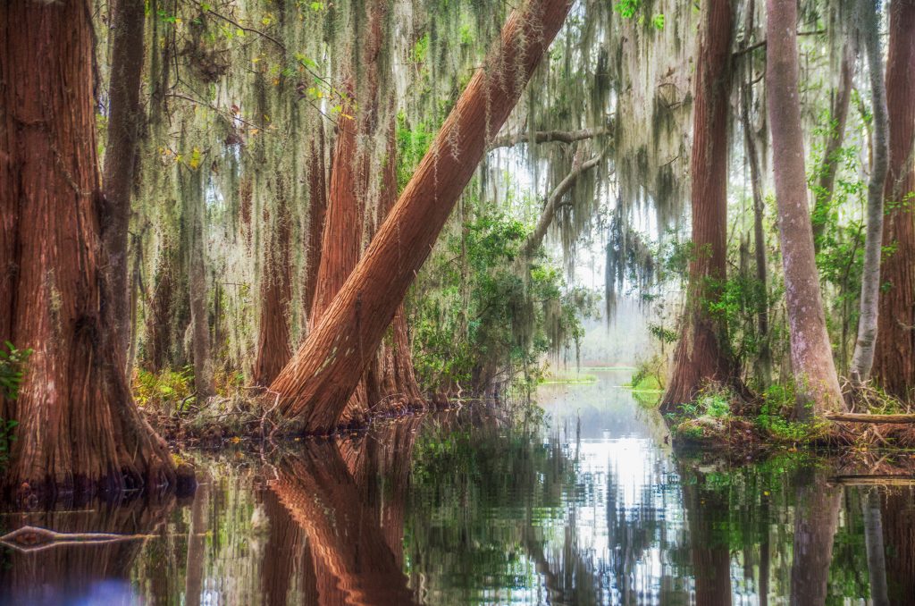 Passage to Black Lake