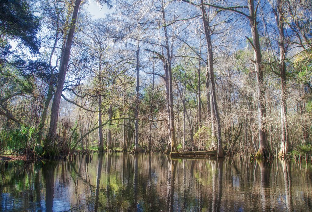 Prairie Creek - January 2019