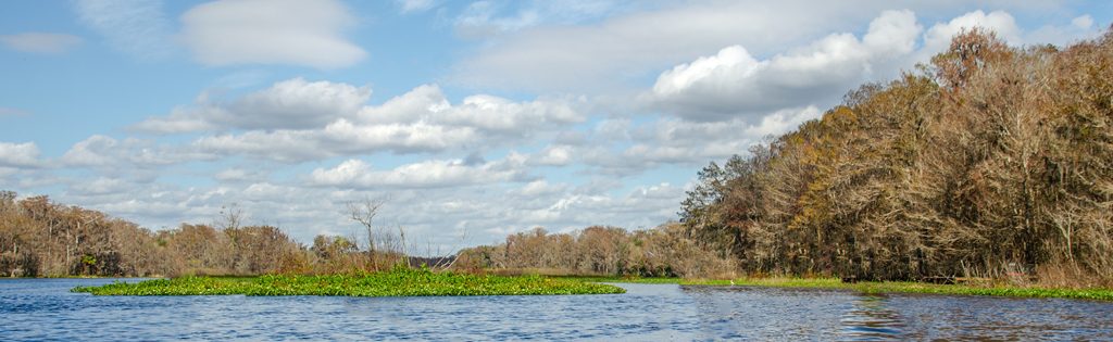 Withlacoochee River