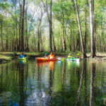 Lily Springs with Spring foliage