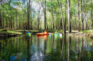 Lily Springs with Spring foliage