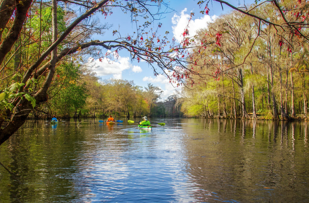 Leaving Pickard Spring