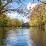 Leaving Pickard Spring