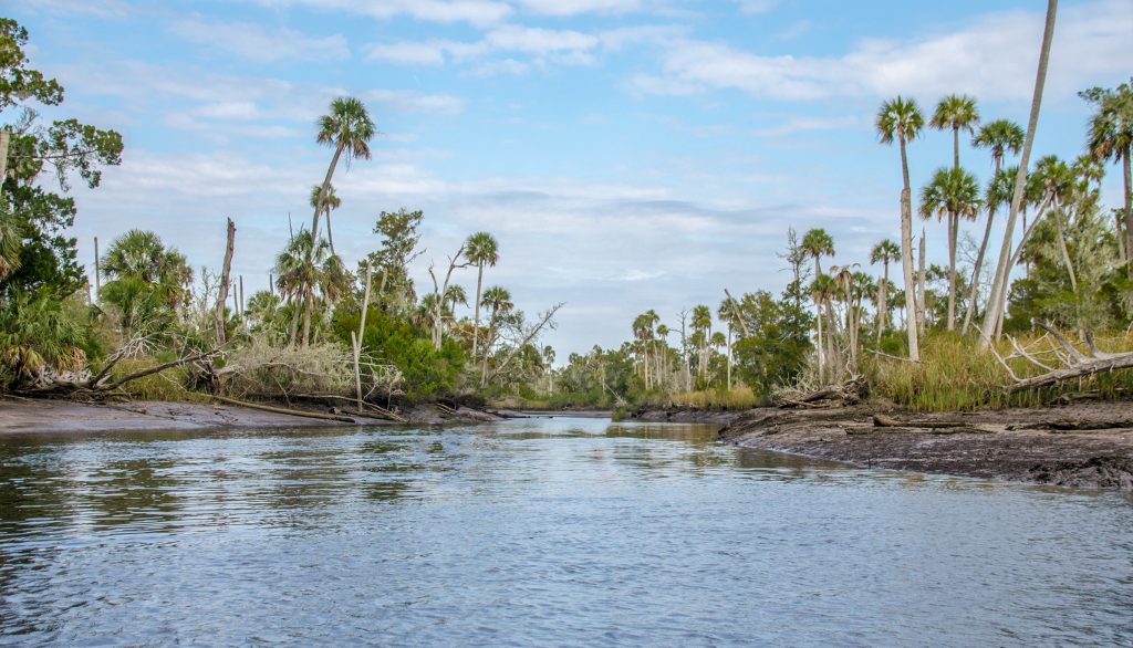 Low Tide Waccasassa