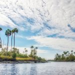 The Waccasassa River