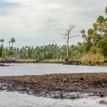 The Waccasassa River