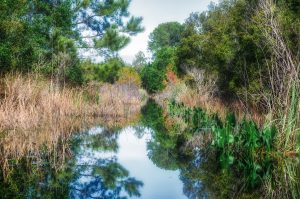 Waterway to the North