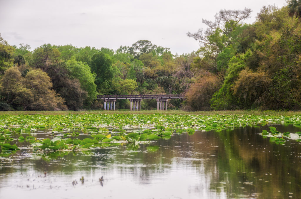 Alexander Spring Creek Bridge