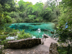 Ichetucknee Head Spring