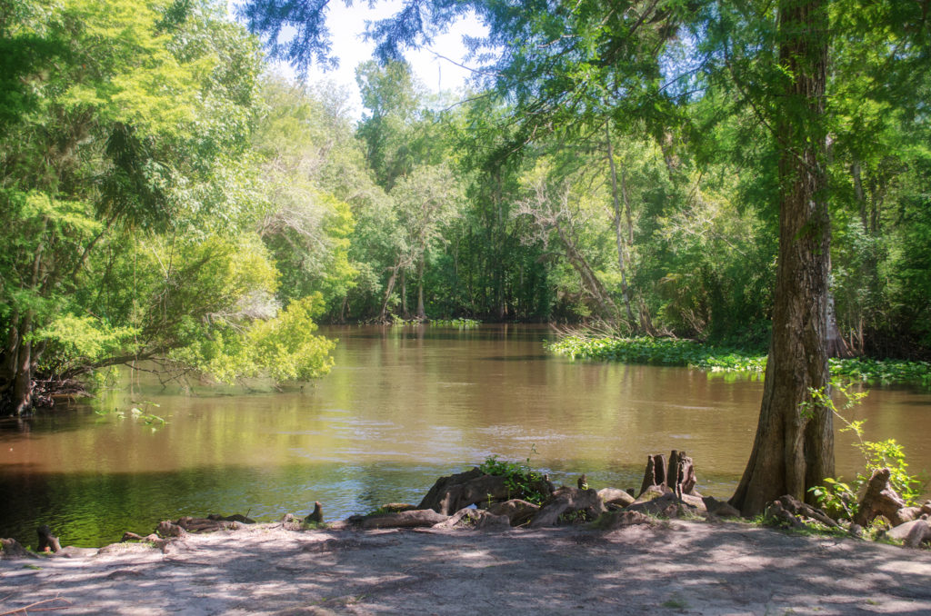 Ocklawaha at Eureka East